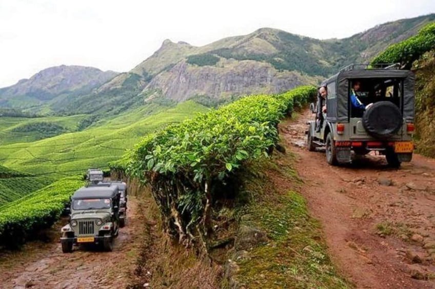 Munnar Jeep Safari