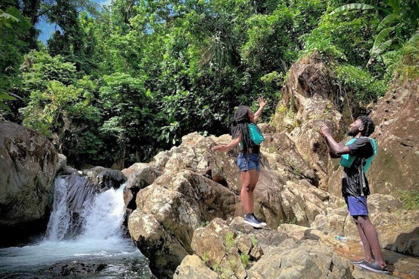 el yunque rainforest tour with transportation