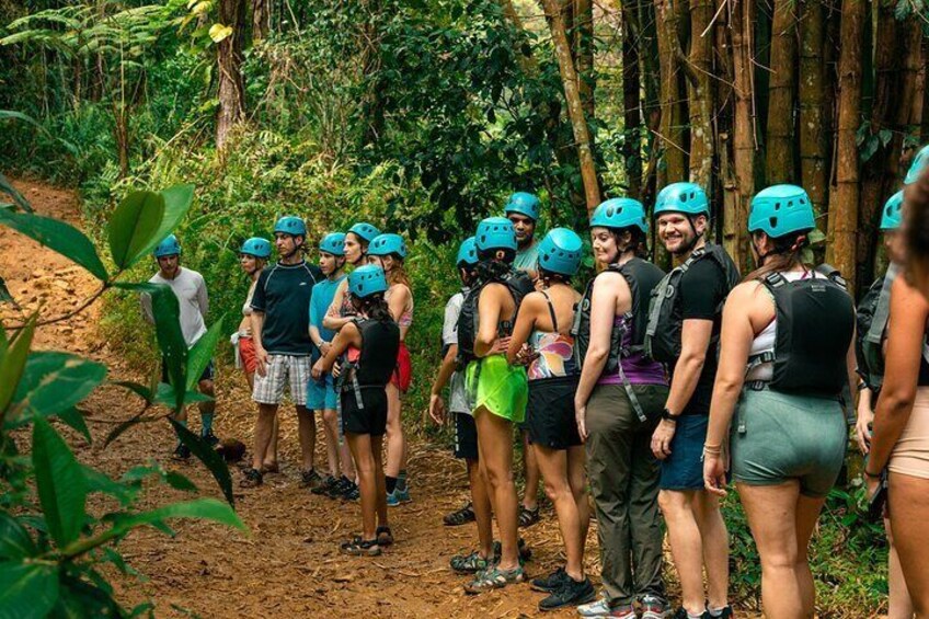 Guided El Yunque Rainforest & Bio Bay Tour: Full-Day with Transportation