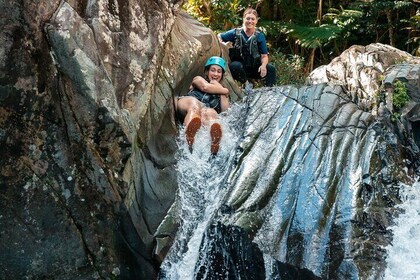 Tour guidato della foresta pluviale di El Yunque e Bio Bay: intera giornata...