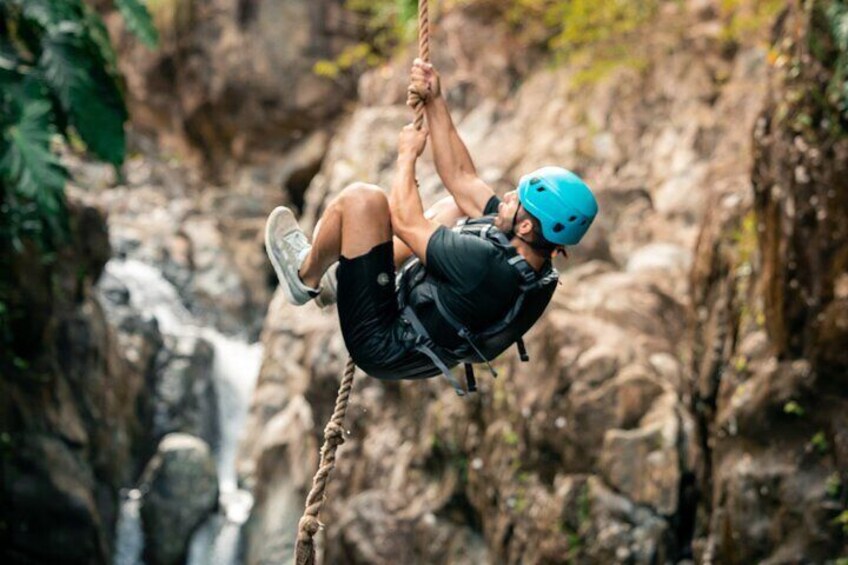 Guided El Yunque Rainforest & Bio Bay Tour: Full-Day with Transportation