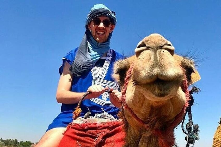 Atlas Mountains Day Trip from Marrakech with Camel Ride