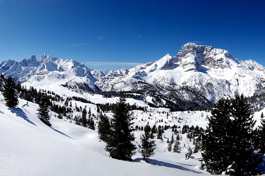 Show item 4 of 6. Snowshoe Tour in the Dolomites near Cortina (1 day)