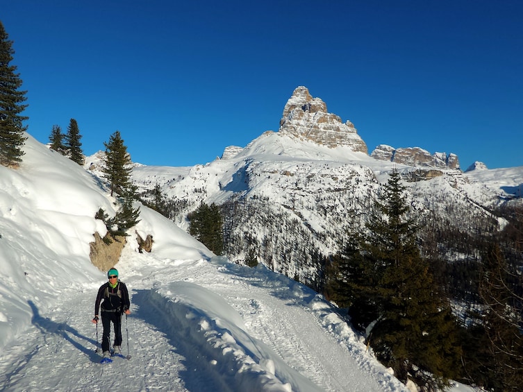 Show item 3 of 6. Snowshoe Tour in the Dolomites near Cortina (1 day)