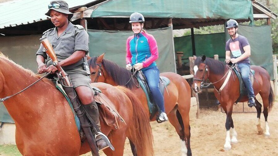 Addo Elephant Safari and Horseback Riding in Addo Combo