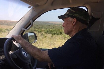 Port Elizabeth to Cape Town - Garden Route Tour - Choice of 3 to 5 days