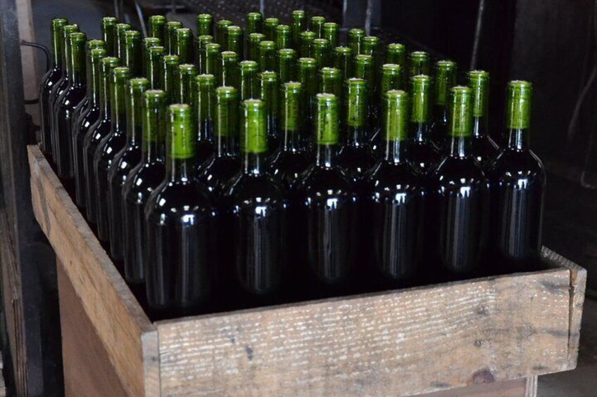 Authentic Château Chatain Wine Tasting & Vines Leaves Hunting