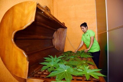Ayurveda Day Package