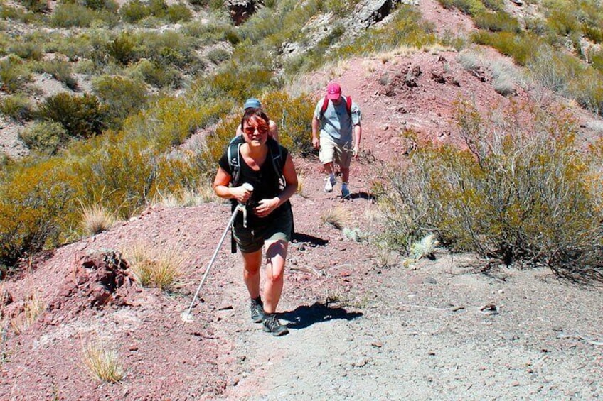 Full Day Mountain Trekking with Lunch