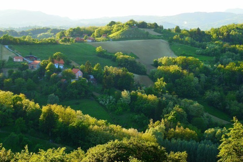 Wines Unknown - Istrian nOrdinary Wine tour