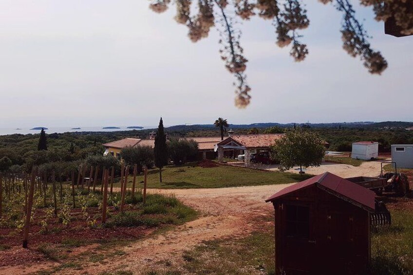 Estate with a sea view