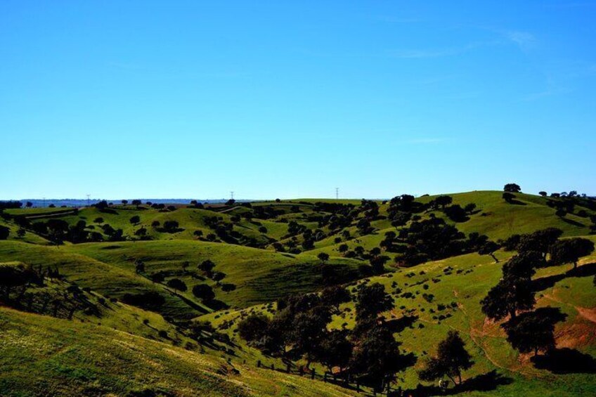 Donana Natutal Park Tour