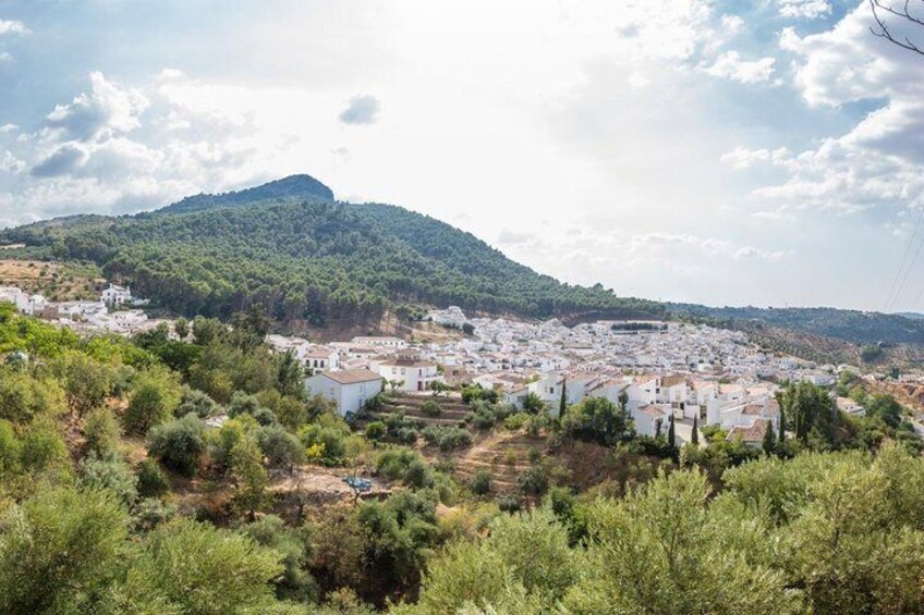 Private Guided Day Trip to the White Villages from Seville