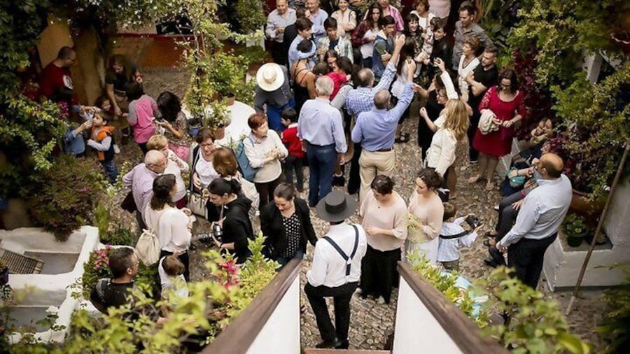 Córdoba Rooftop and Terraces Experience