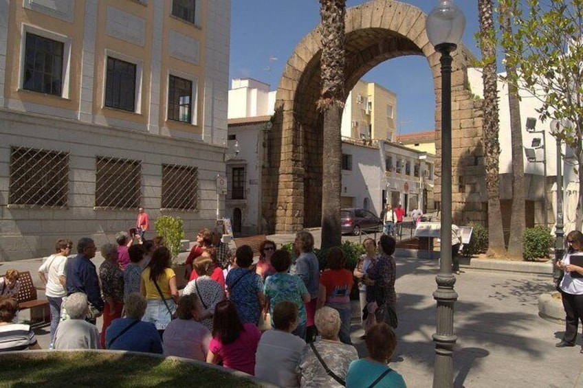 From Seville: Merida Private Full Day Tour