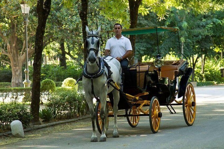 Horse and Buggy Ride in Seville with guide