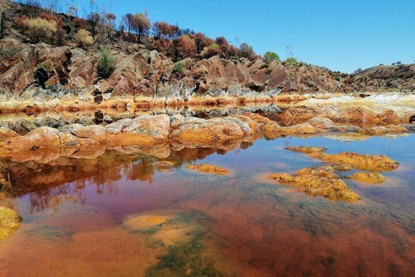 From Seville: Expedition To "Mars" Private Full-day Tour