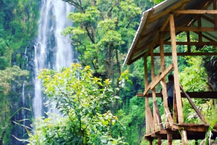 Materuni Waterfalls & Coffee Farm Tour