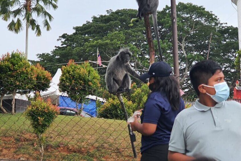 A Nature Tour of Selangor Hidden Gems