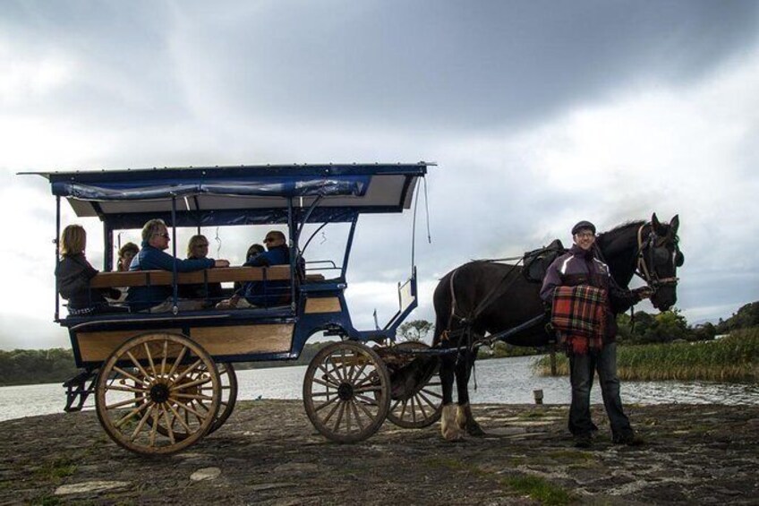jaunting car tour to ross castle from killarney