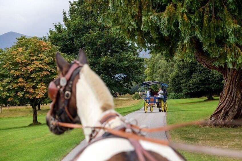 Combination Killarney Jaunting Car Tour and Lakes of Killarney Cruise