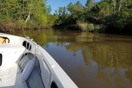 Private Boat TripTour to Tigre Delta