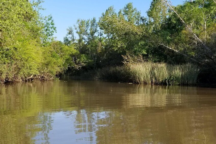 Private Boat TripTour to Tigre Delta