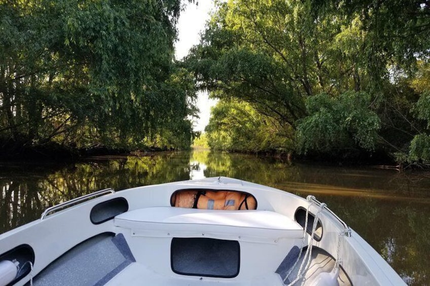 Private Tigre Delta, Northern Buenos Aires & San Isidro