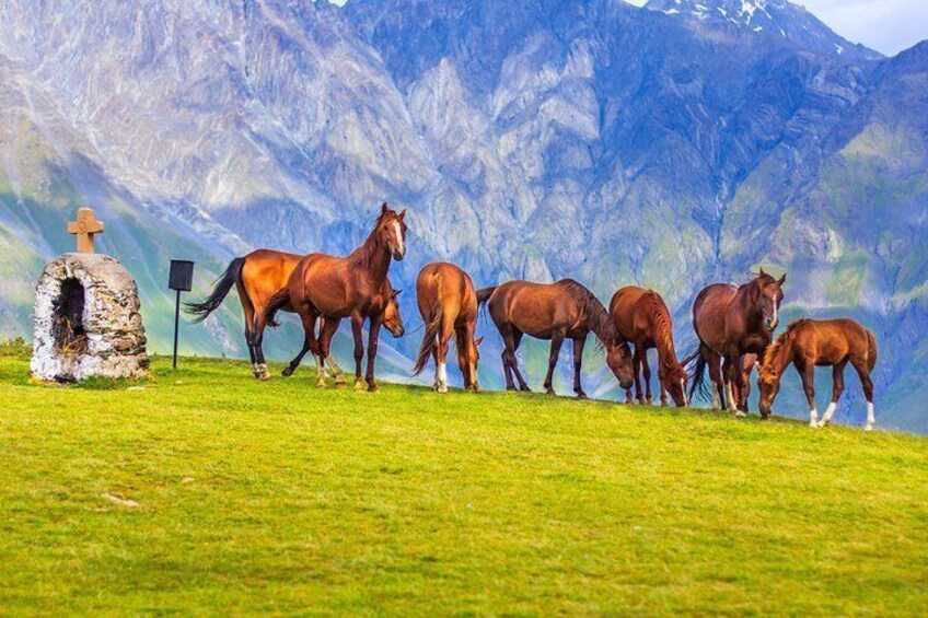 Full day tour to Kazbegi