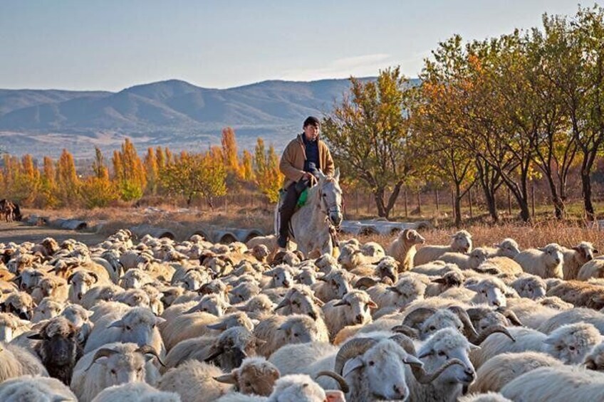 Kakheti