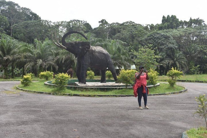 Open area for recreation