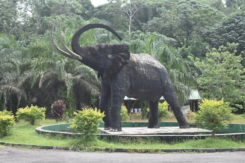 Wildlife in the Park