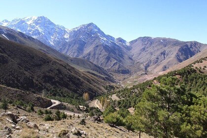 Private day trip from Marrakech to Ourika valley
