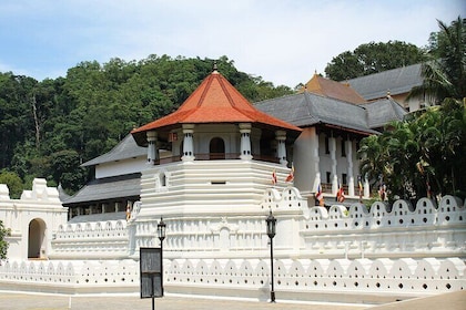 Cultural Triangle Tour in Sri Lanka
