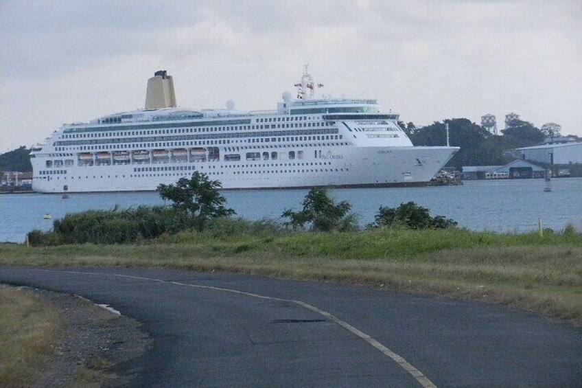 BirdIing ACHIOTE ROAD from Cruise Ship Colon Port