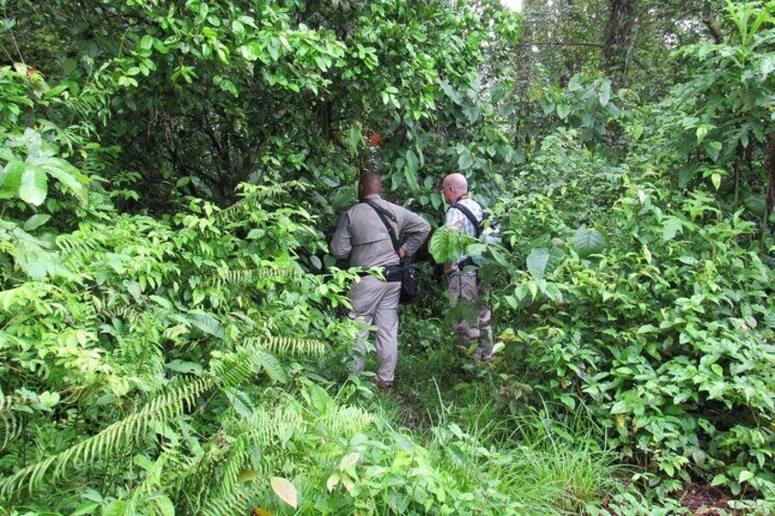 Birding Metropolitan Natural Park