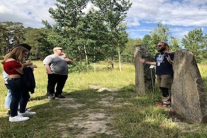 Private Tour: Swedish Iron Age Excursion from Stockholm 3h
