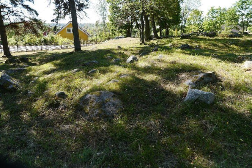 Viking grave field