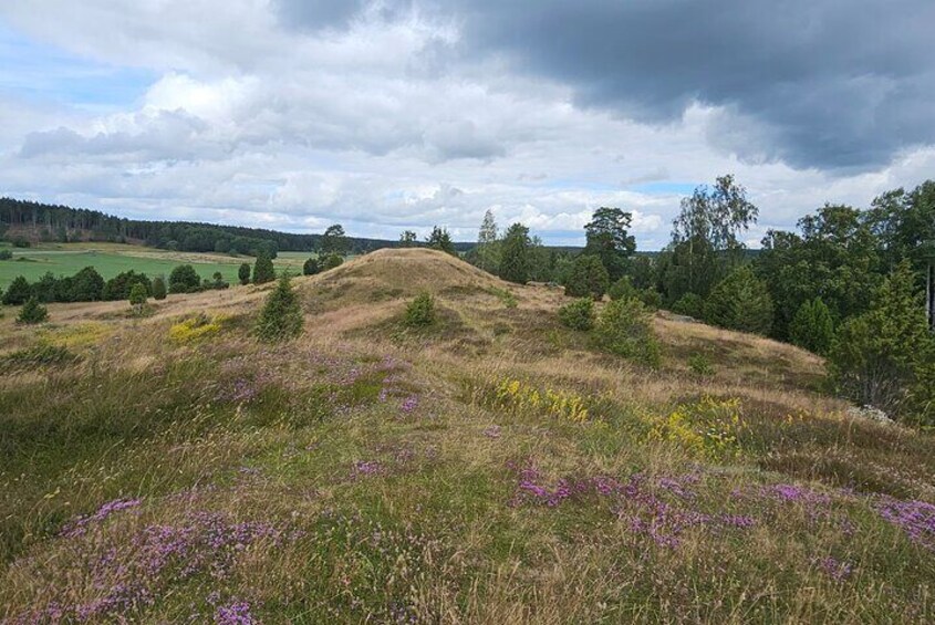 Viking History, Fika & Countryside 9h Tour to Sigtuna & Uppsala