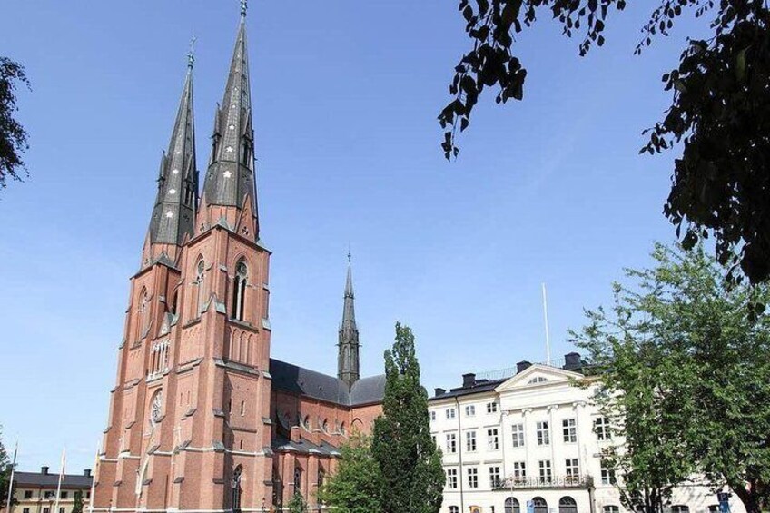 Private Day Tour to Uppsala - Uppsala Cathedral, Viking Burials and countryside