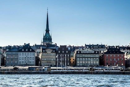 Privat bilresa Stockholm med en levande guide, inklusive Vasamuseet.