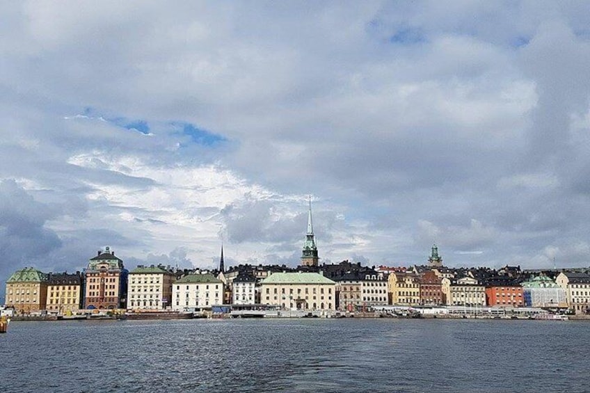 Private Car Tour of Stockholm with a Live guide, including the Vasa museum.