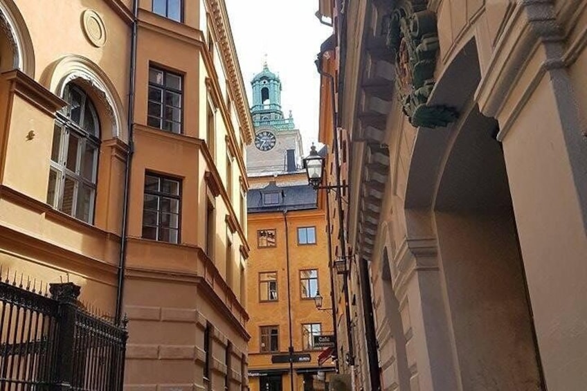 Private Car Tour of Stockholm with a Live guide, including the Vasa museum.