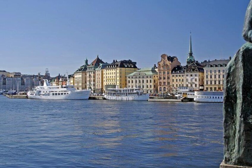 Private Car Tour of Stockholm with a Live guide, including the Vasa museum.