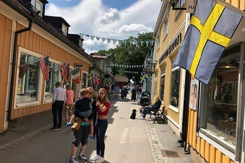 Viking History Small Group Tour from Stockholm: Half Day Including Sigtuna
