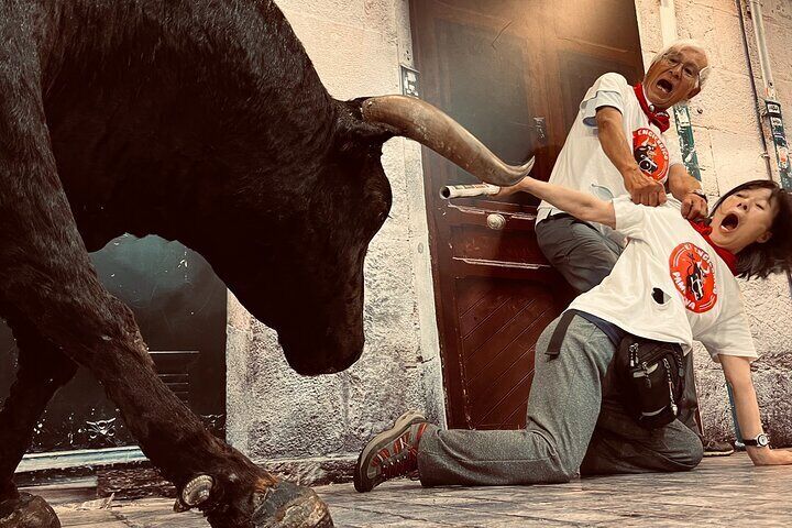 Walking tour of Pamplona: beyond the bulls 