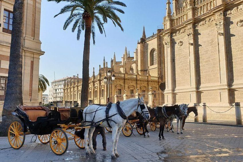 Sevilla Food Tour - Tapas,wine, History & Traditions