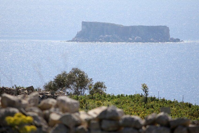 Islet of Filfla
