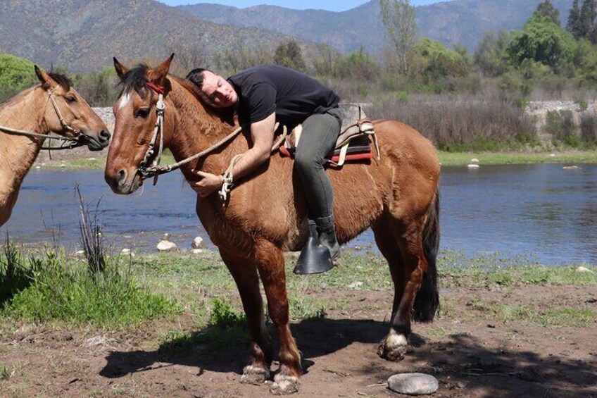 In love with the calm and friendly horse