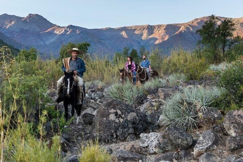 Cordón de Cantillana mountain range. Horseback wine tour